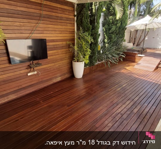 דק עץ עם צמחים ועציצים גדולים